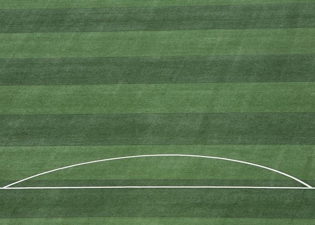 球队迅速从 球队迅速从