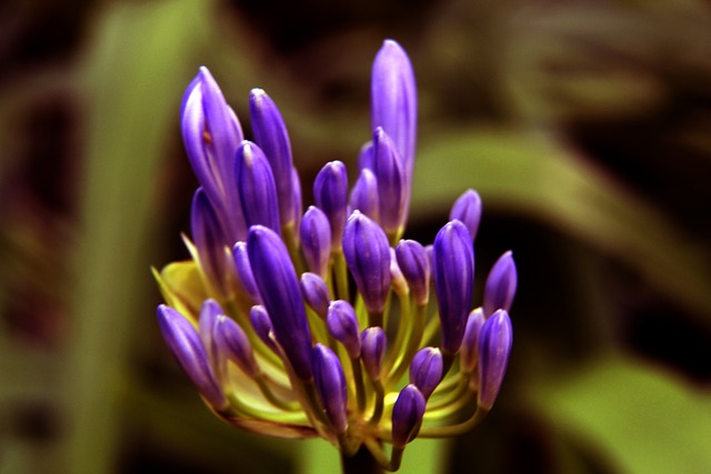 透明化管理 透明化管理